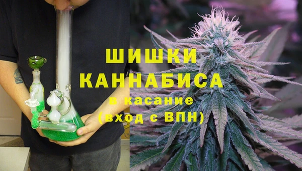 стафф Арсеньев