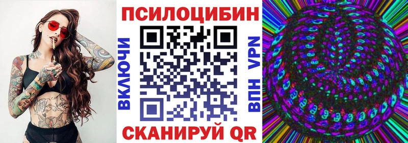 Галлюциногенные грибы GOLDEN TEACHER цены Бабушкин